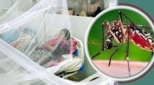 6 more dengue deaths, 586 fresh cases recorded in 24 hrs