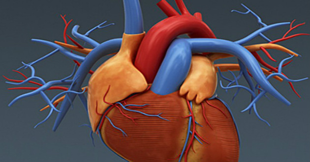 Two Crore People Die of Heart Disease  Every Year;Young Adults Increasingly at Risk