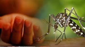 Dengue Outbreak Worsens: 4 More Deaths in a Day, Cases Surpass 60,000