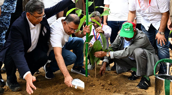PM launches nationwide programme to plant 25 crore trees