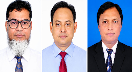 Corruption and Irregularities in the Power Sector: The RPCL Syndicate